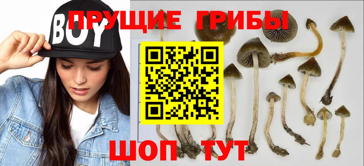 Семёнов  Галлюциногенные грибы прущие грибы  Вход с VPN  закладка  Псилоцибиновые грибы Magic Shrooms 